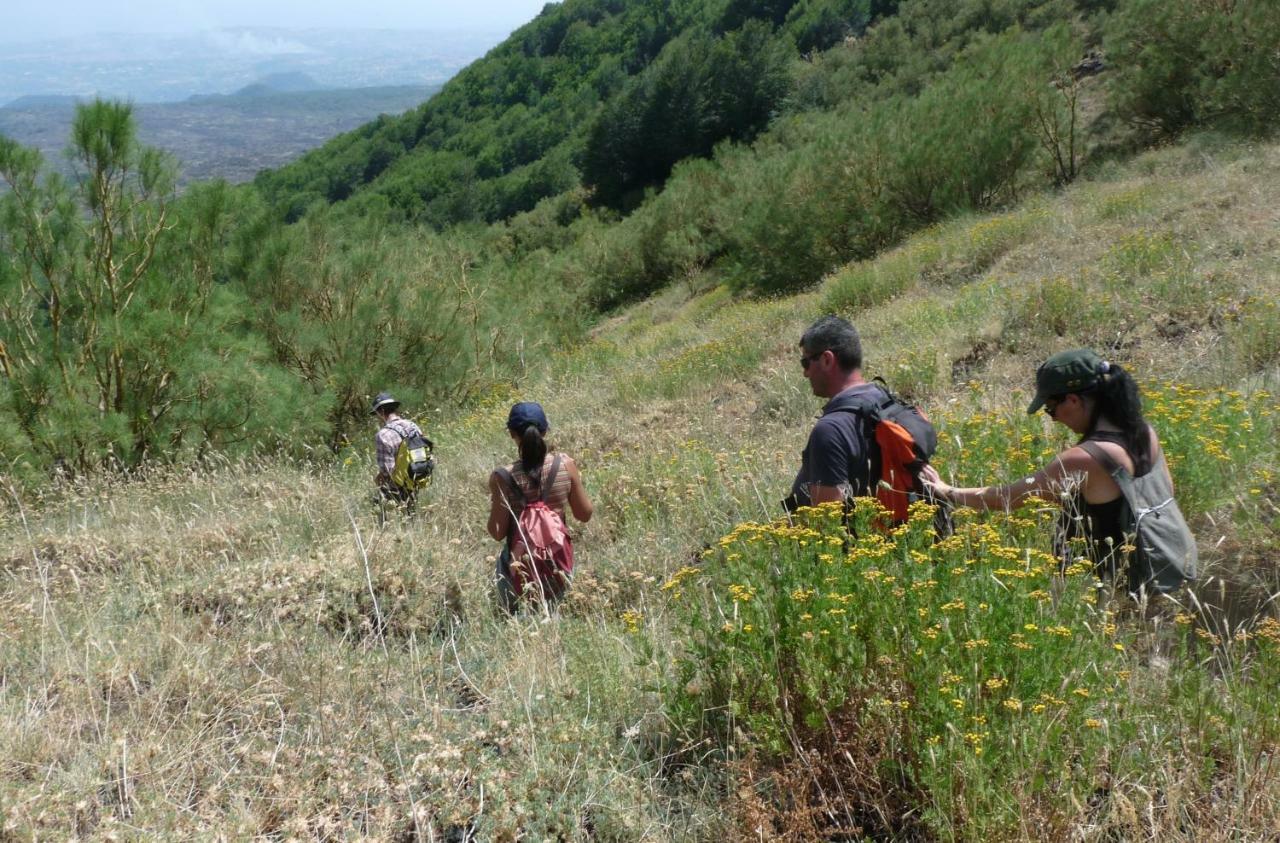 הוילה ניקולוסי Pachamama מראה חיצוני תמונה